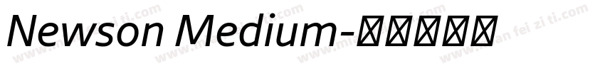 Newson Medium字体转换